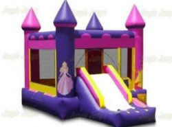 20200814 131442 1643089092 Princess Dry Bounce House W/Slide Combo