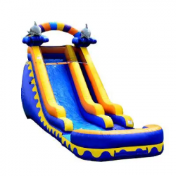 Optimized JC WS18d 1642972758 18ft Dolphin Water slide