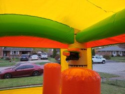 20231028 171158 1705700038 Tropical Bounce House W/Slide Dual Lane/dry