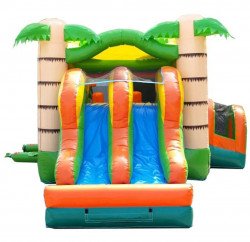 Screenshot 20240119 162122 Chrome 1705700037 Tropical Bounce House W/Slide Dual Lane/dry