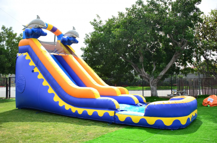 18ft Dolphin Water slide